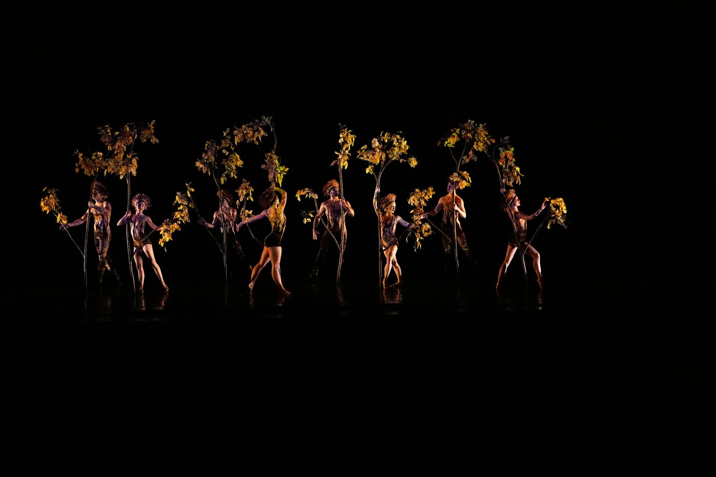 Photos show MOMIX performing its second season of 'Botanica' in Rome | iNFOnews.ca