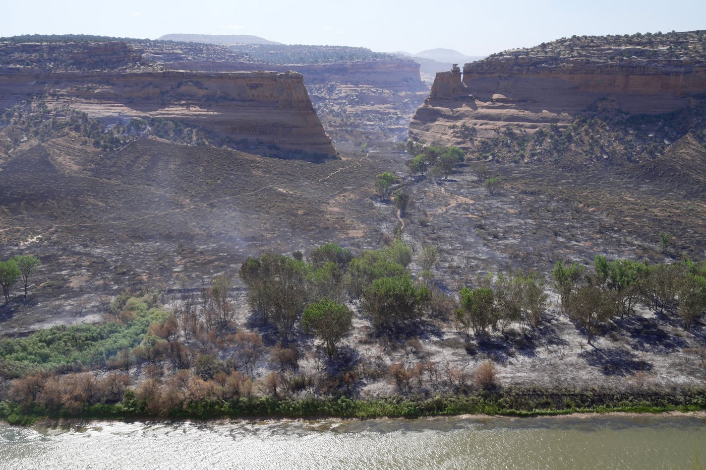 3 firefighters killed in Colorado as wildfires stoked by heat, wind rage across the West | iNFOnews.ca