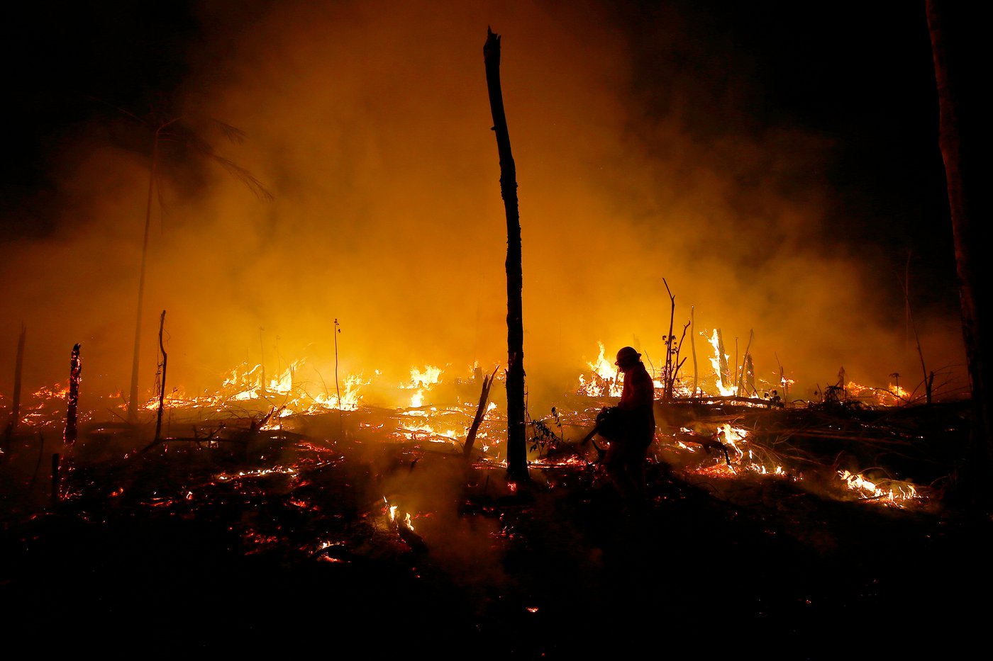 Despite gains combating deforestation in Brazil's Amazon, forest degradation is a looming threat | iNFOnews.ca