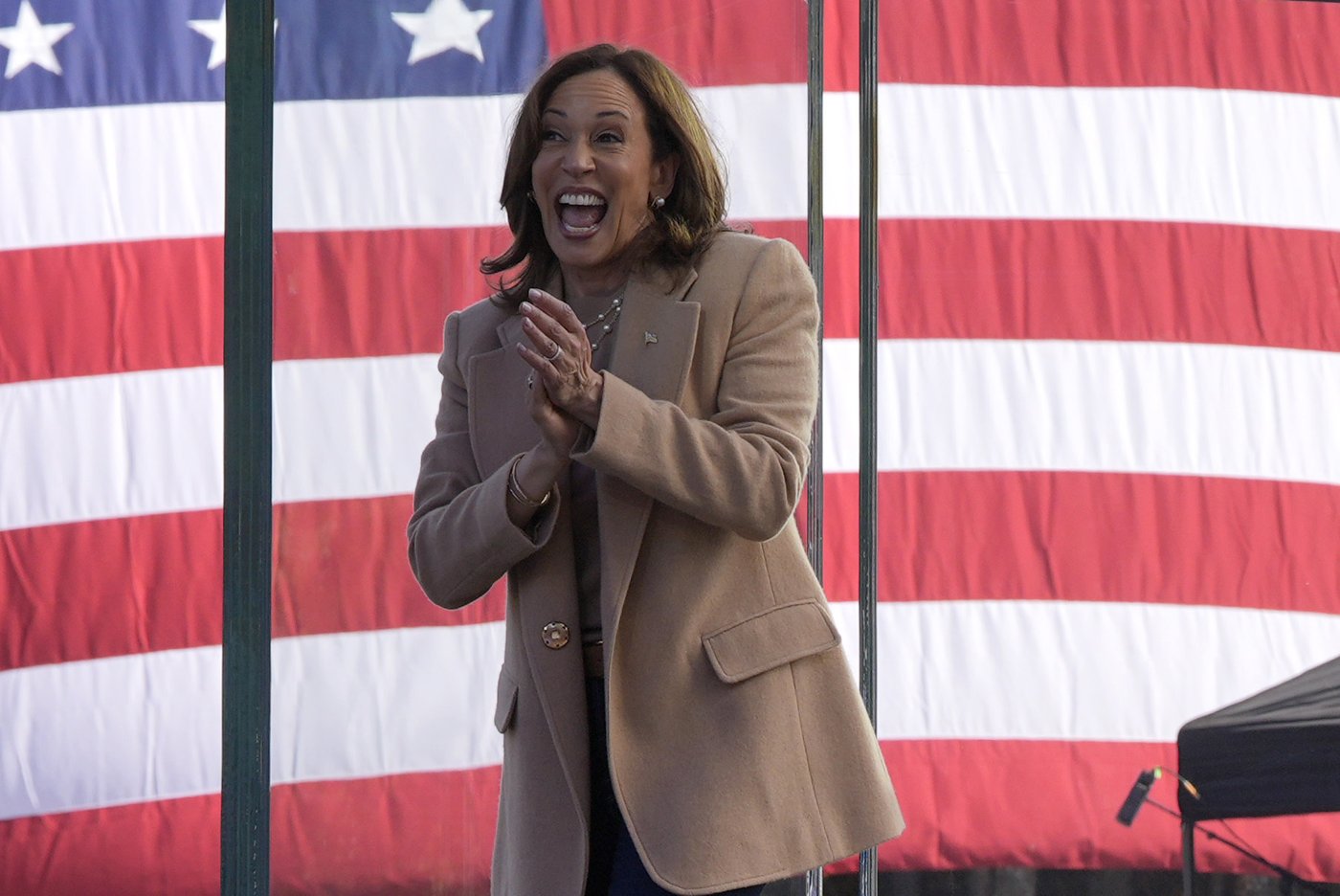 Harris and Trump focus on Sunbelt states during final weekend push for votes | iNFOnews.ca