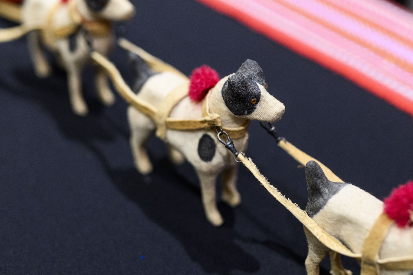 Métis leaders unveil 1920s model dog sled repatriated from Vatican | iNFOnews.ca