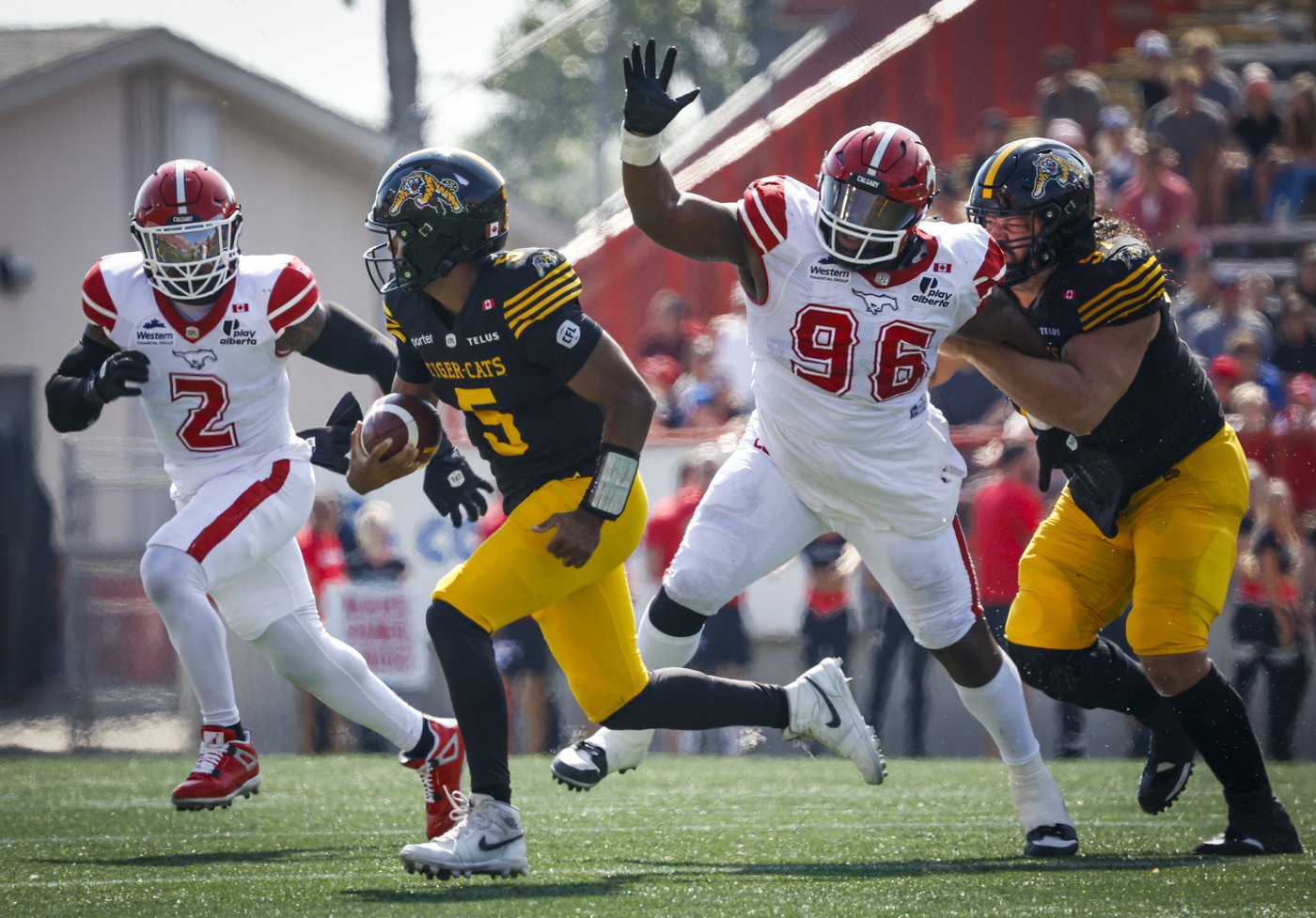 Mills scores late touchdown to lift Stampeders to 28-23 victory over Tiger-Cats | iNFOnews.ca Mills scores late touchdown to lift Stampeders to 28-23 victory over Tiger-Cats | iNFOnews.ca