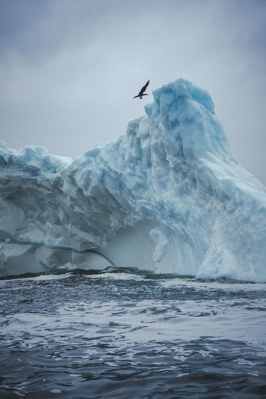 Molly Carlson welcomed fear during her historic dive off Newfoundland iceberg | iNFOnews.ca Molly Carlson welcomed fear during her historic dive off Newfoundland iceberg | iNFOnews.ca