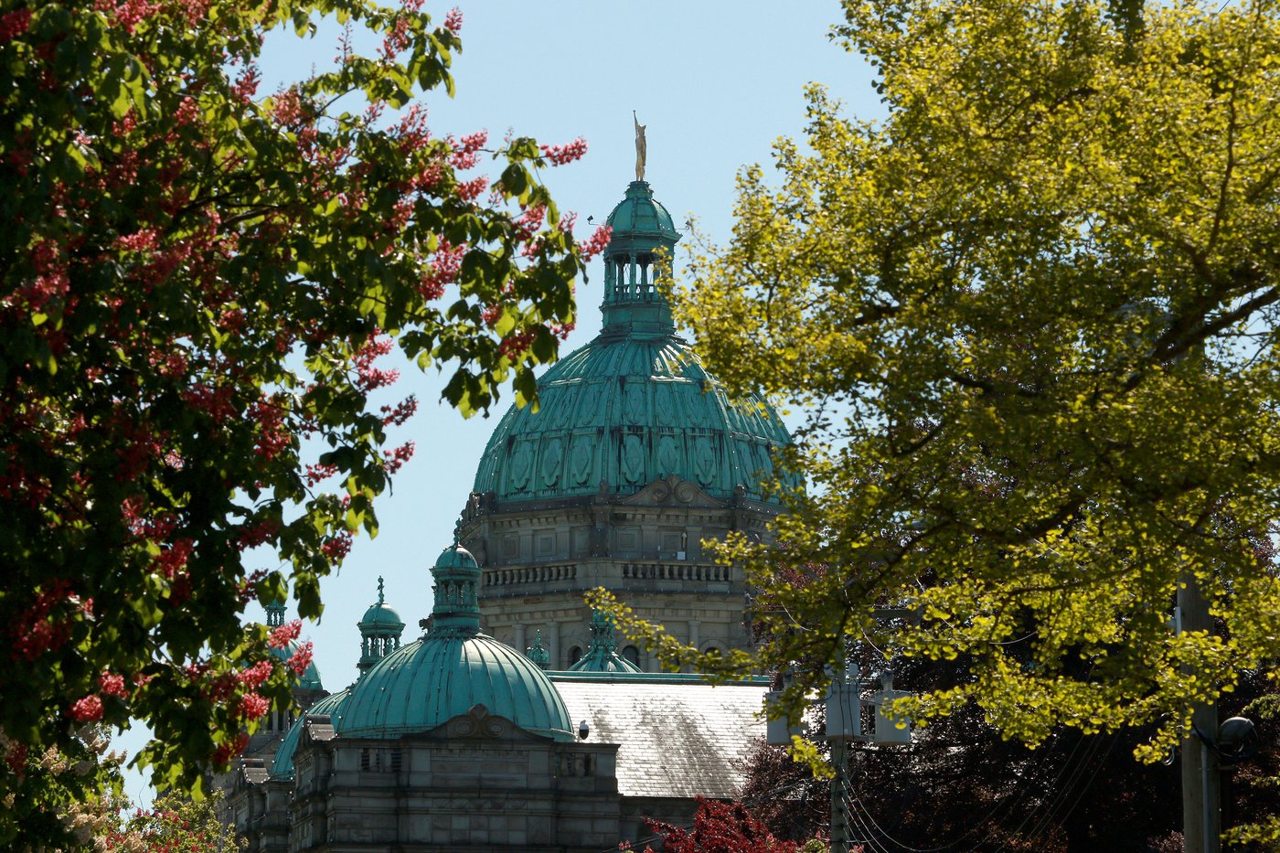 B.C. strike escalates to include about 26,000 public service workers, professionals | iNFOnews.ca B.C. strike escalates to include about 26,000 public service workers, professionals | iNFOnews.ca