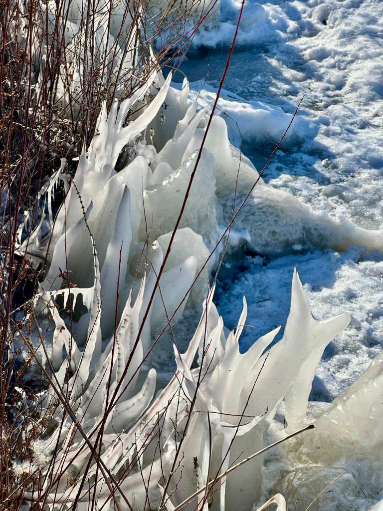 iN PHOTOS: Fascinating ice formations in Kamloops, Okanagan | iNFOnews.ca