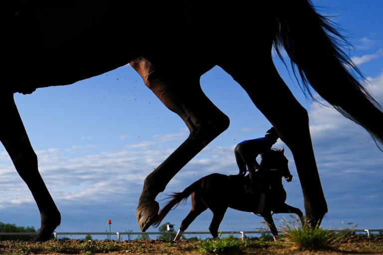 The Preakness at Laurel Park has a little bit of everything but the Kentucky Derby winner | iNFOnews.ca