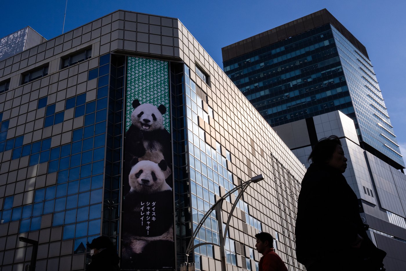 Photos shows Japan's love of pandas as twins Xiao Xiao and Lei Lei return to China | iNFOnews.ca