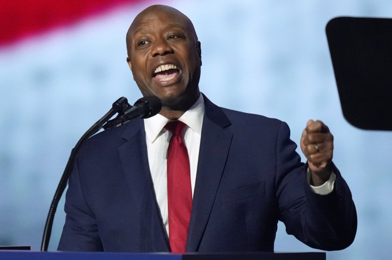 Senate GOP campaign chief says 'cash is king' as Trump team promises millions to keep majority | iNFOnews.ca