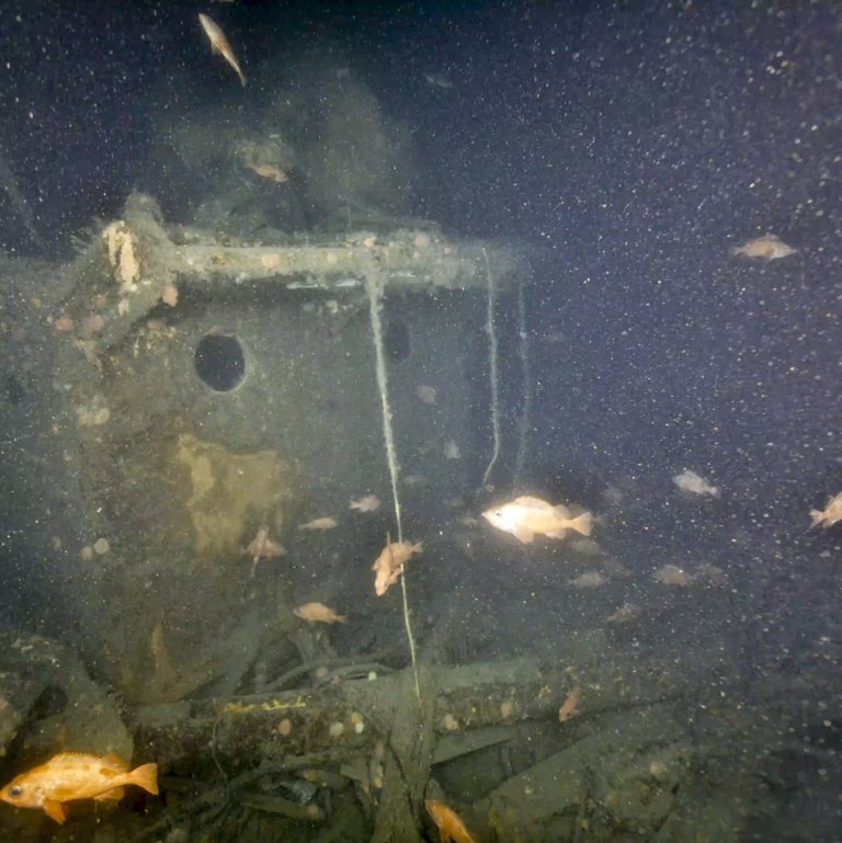 First images released of the wreck of Quest, explorer Ernest Shackleton's last ship | iNFOnews.ca