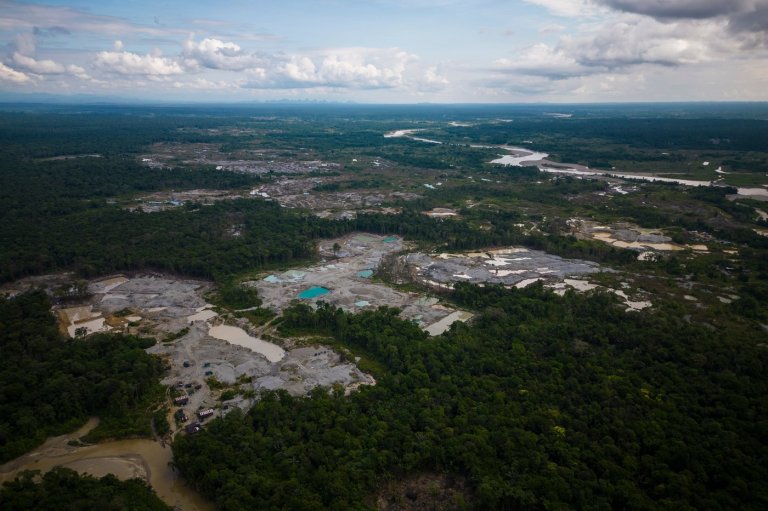 Five Amazon countries arrest hundreds in major crackdown on environmental crime | iNFOnews.ca