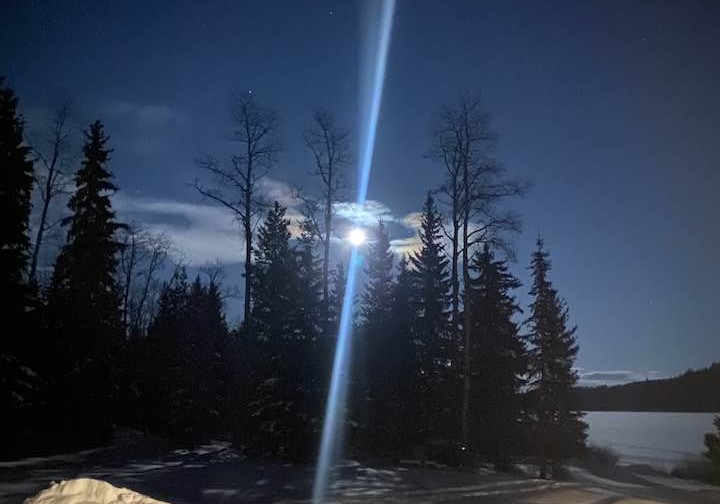 A bright moon shines from behind a stand of trees.