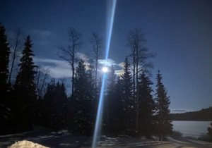 A bright moon shines from behind a stand of trees.
