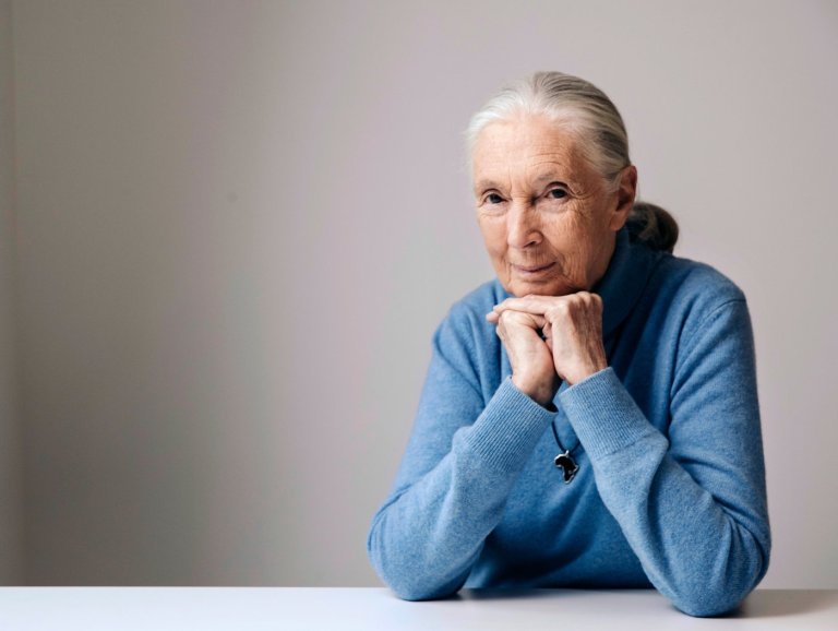 Goodall's influence spread far and wide. Those who felt it are pledging to continue her work | iNFOnews.ca