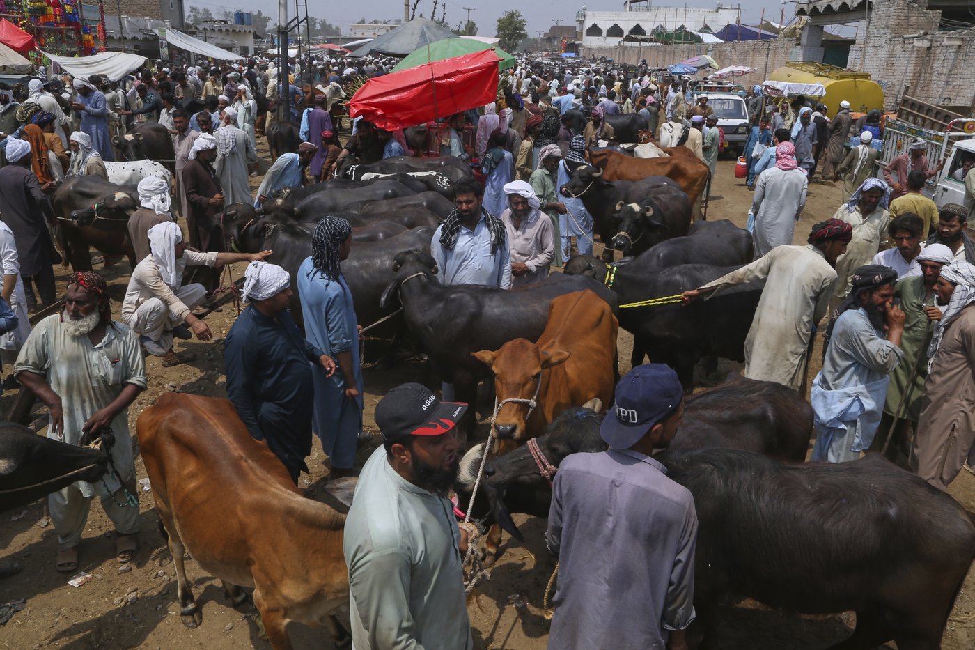 PHOTO COLLECTION: Eid al-Adha | iNFOnews.ca