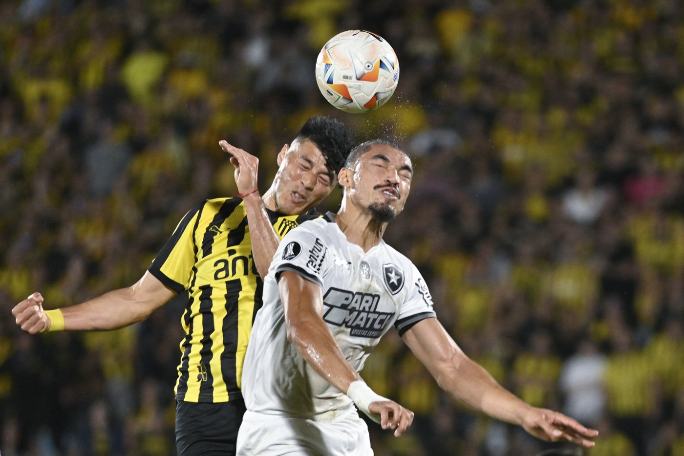 Brazil's Botafogo advances to its 1st Copa Libertadores final despite 3-1 loss at Penarol | iNFOnews.ca Brazil's Botafogo advances to its 1st Copa Libertadores final despite 3-1 loss at Penarol | iNFOnews.ca