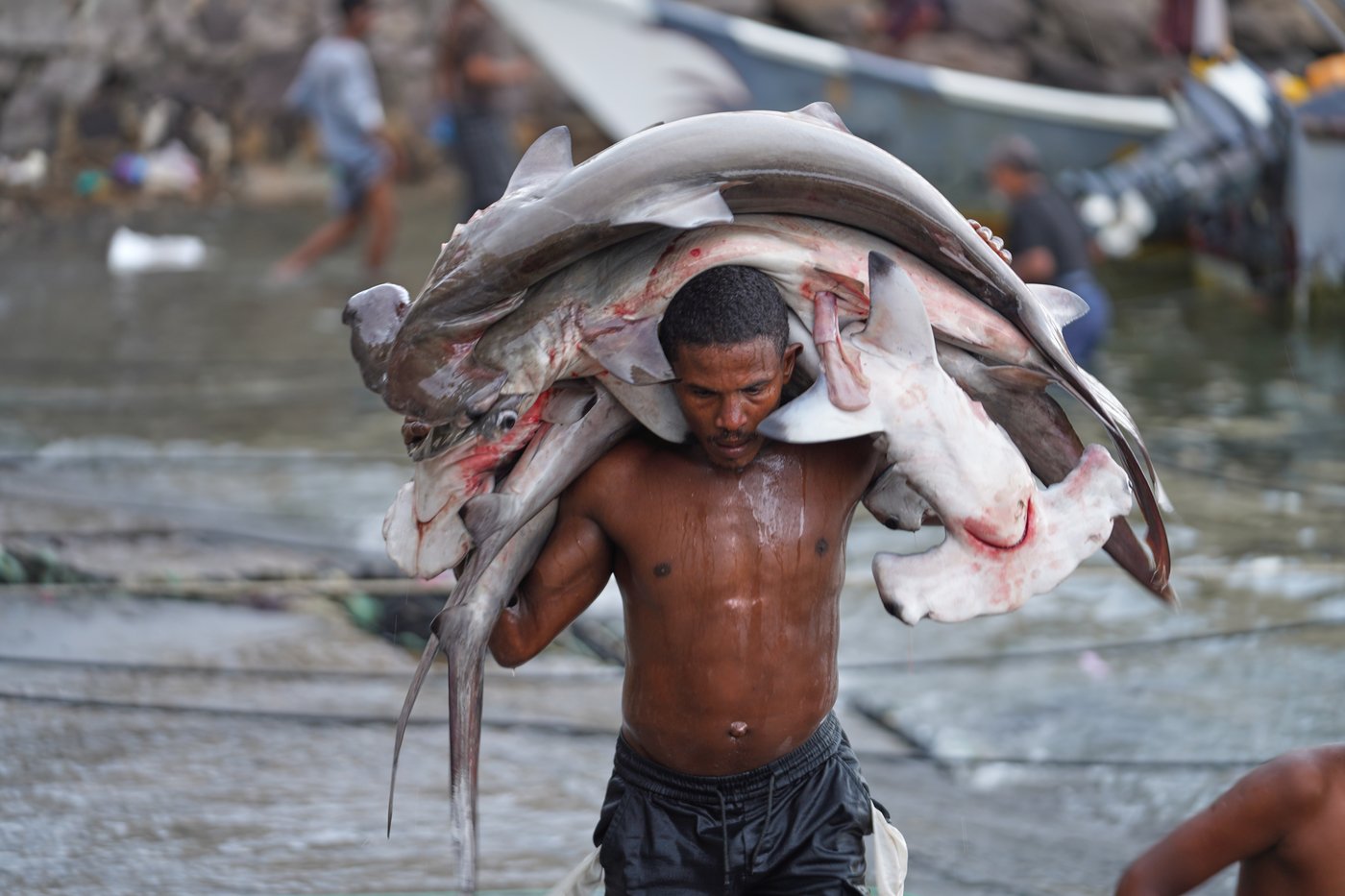 The top photos of the day by AP's photojournalists | iNFOnews.ca