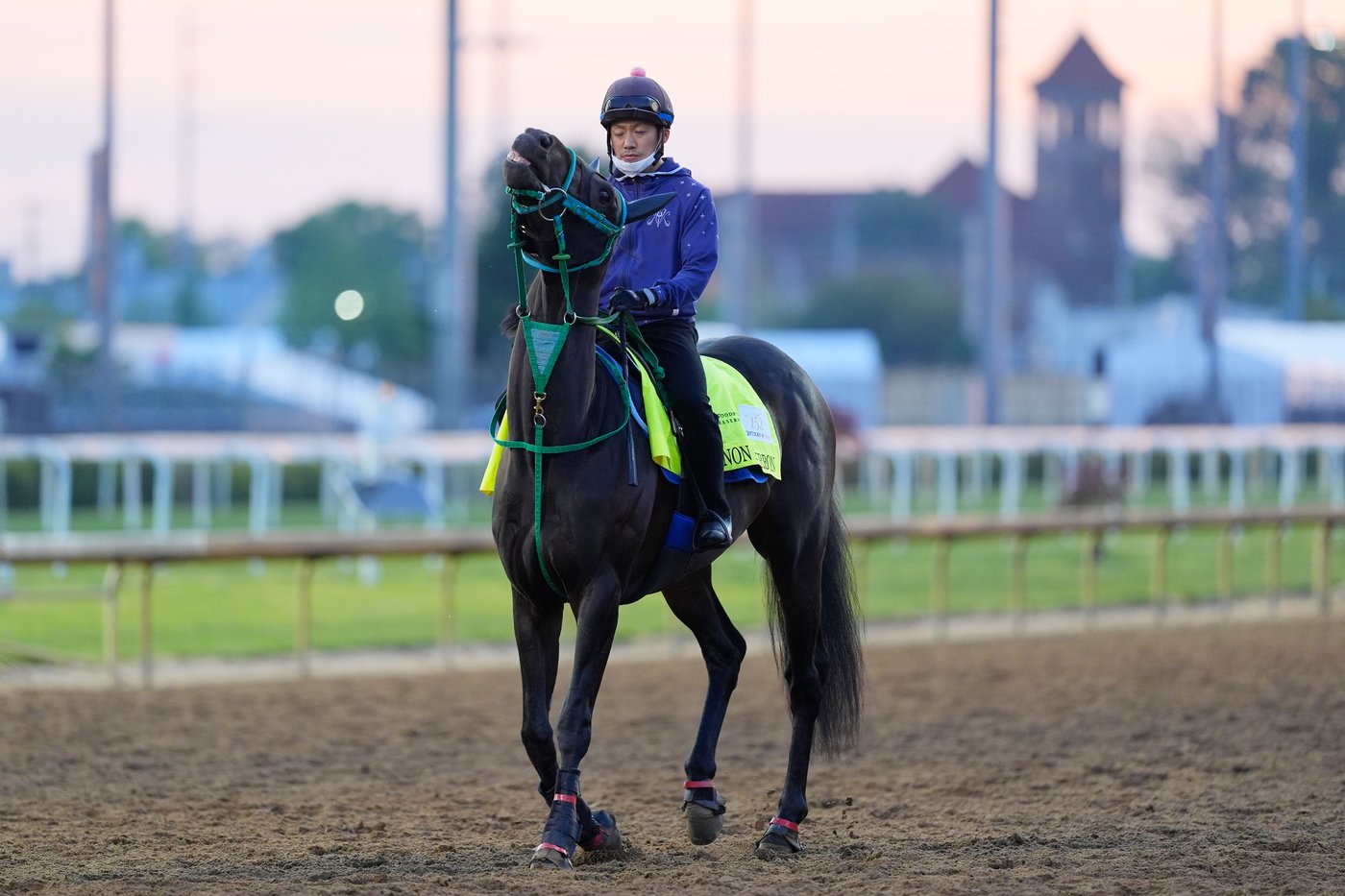 Horse racing in Japan is on the rise. A Kentucky Derby winner could be next | iNFOnews.ca