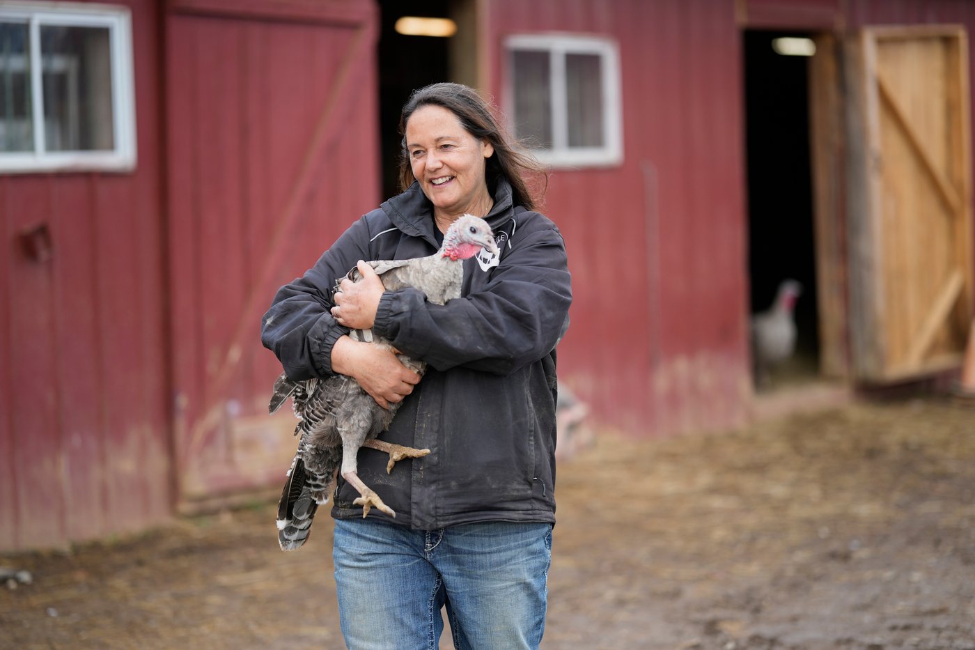 At The Gentle Barn, turkeys are for snuggling, not stuffing at Thanksgiving | iNFOnews.ca At The Gentle Barn, turkeys are for snuggling, not stuffing at Thanksgiving | iNFOnews.ca