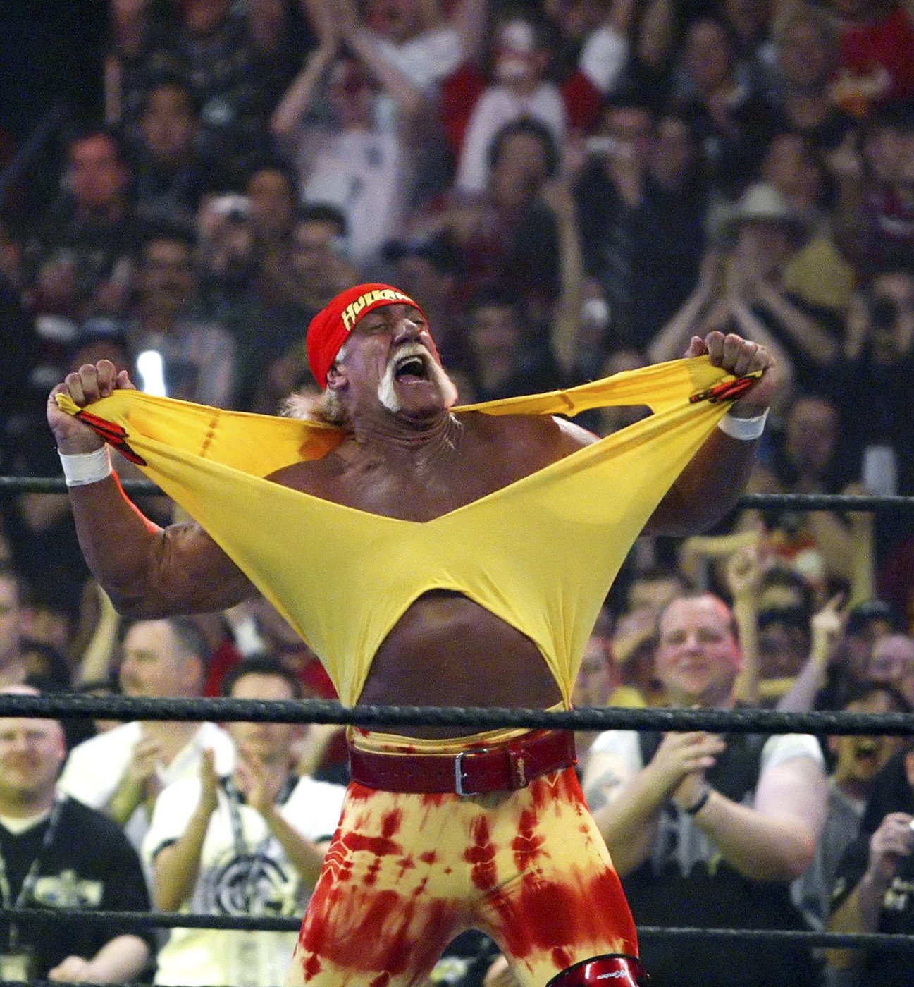 Hulk Hogan, icon in professional wrestling, dies at age 71 | iNFOnews.ca