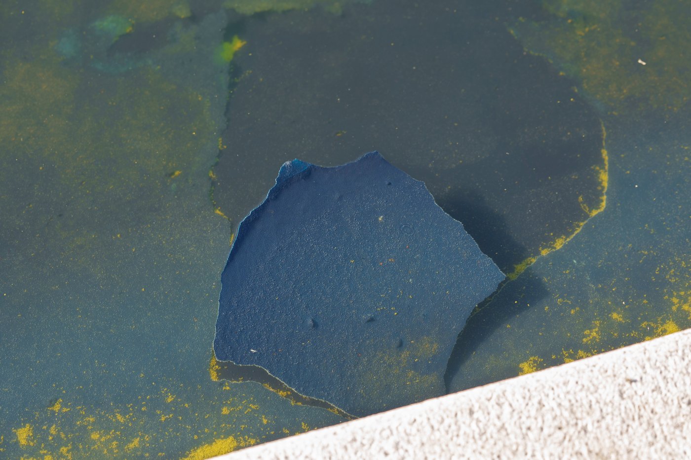 Troubled Reflecting Pool faces fresh scrutiny over vandalism claims and duck deaths | iNFOnews.ca Troubled Reflecting Pool faces fresh scrutiny over vandalism claims and duck deaths | iNFOnews.ca