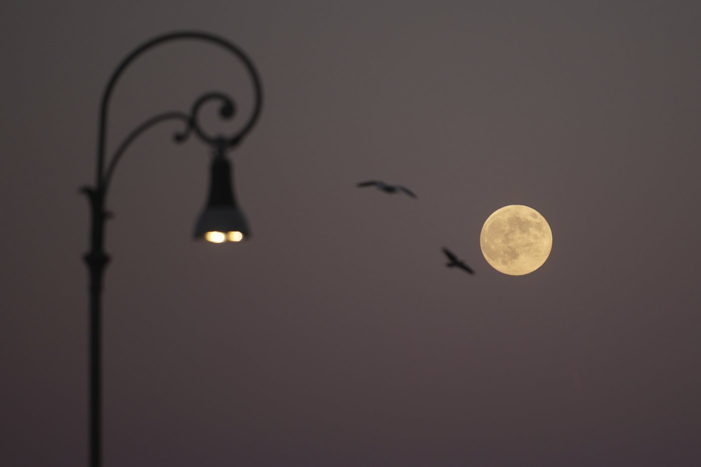 PHOTO COLLECTION: Supermoon | iNFOnews.ca PHOTO COLLECTION: Supermoon | iNFOnews.ca