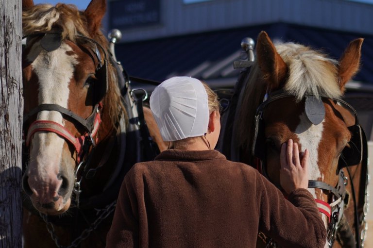 As a historic measles outbreak hits Pennsylvania Amish country, more show openness to vaccines | iNFOnews.ca