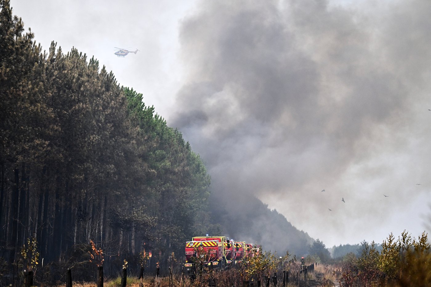 Europe battles fast-moving wildfires sweeping across Spain and France, in photos | iNFOnews.ca