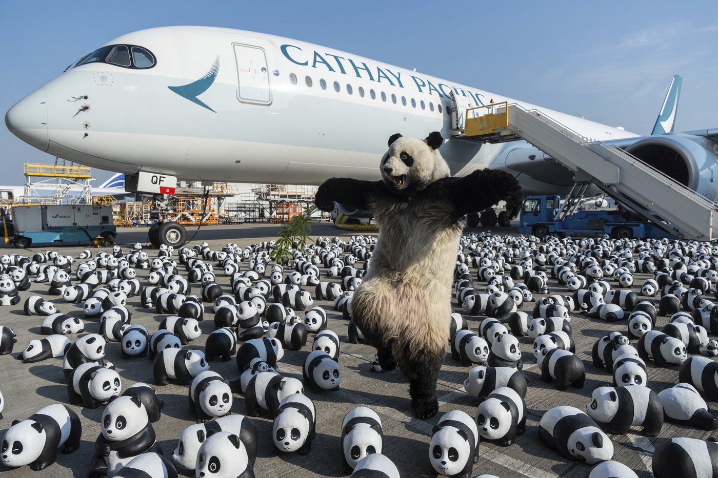 PHOTO COLLECTION: Hong Kong Panda | iNFOnews.ca PHOTO COLLECTION: Hong Kong Panda | iNFOnews.ca