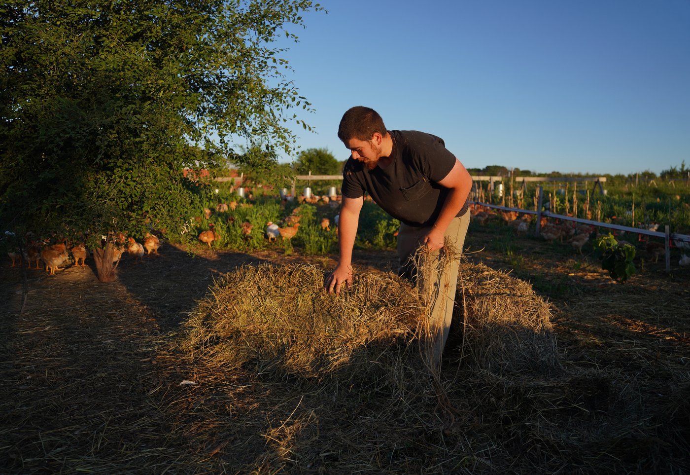 For these Midwest farmers, regenerative agriculture is about more than soil health. It's spiritual | iNwine For these Midwest farmers, regenerative agriculture is about more than soil health. It's spiritual | iNwine