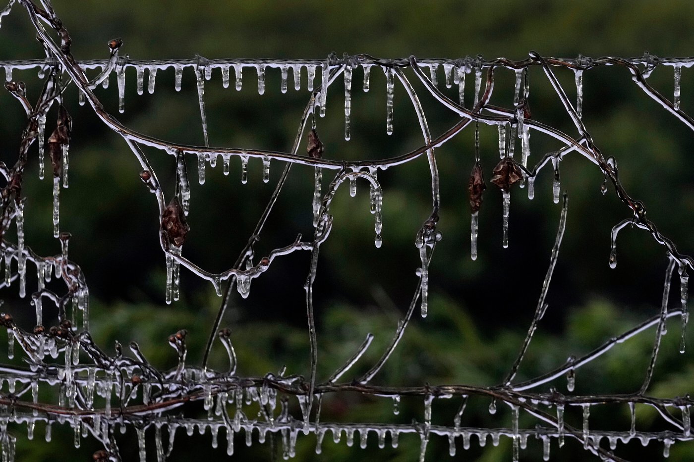 Blast of winter weather hits Midwest and East Coast and could bring snow to Florida | iNFOnews.ca Blast of winter weather hits Midwest and East Coast and could bring snow to Florida | iNFOnews.ca