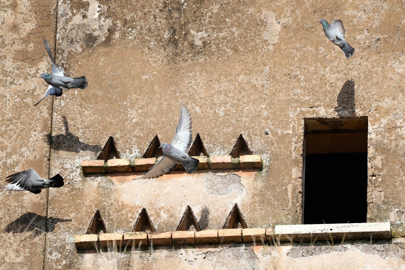The travertine quarries that built ancient Rome are carving rock for a new generation of temples | iNFOnews.ca