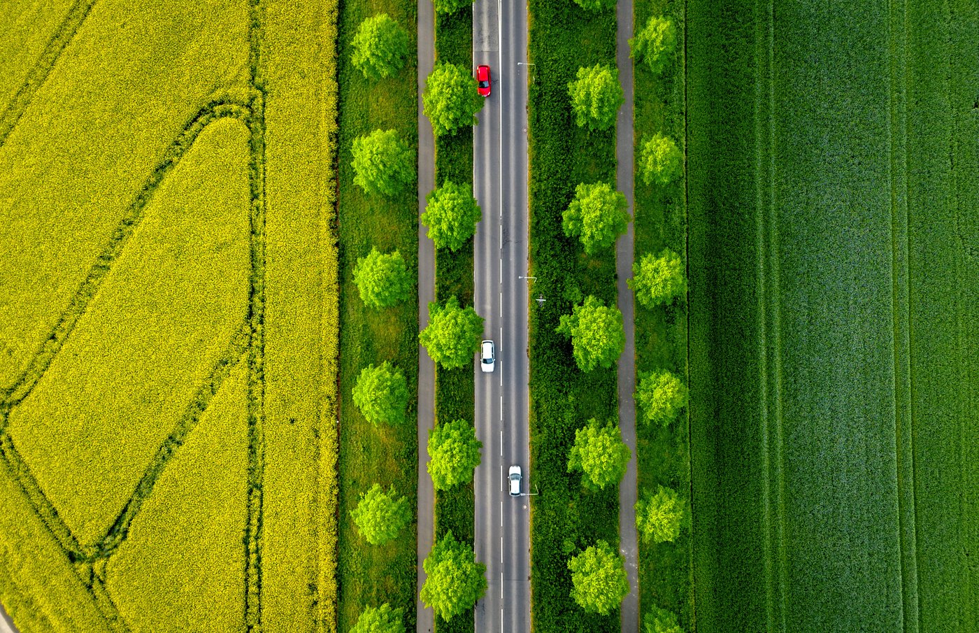 PHOTO COLLECTION: Climate Environment Germany Nature | iNFOnews.ca
