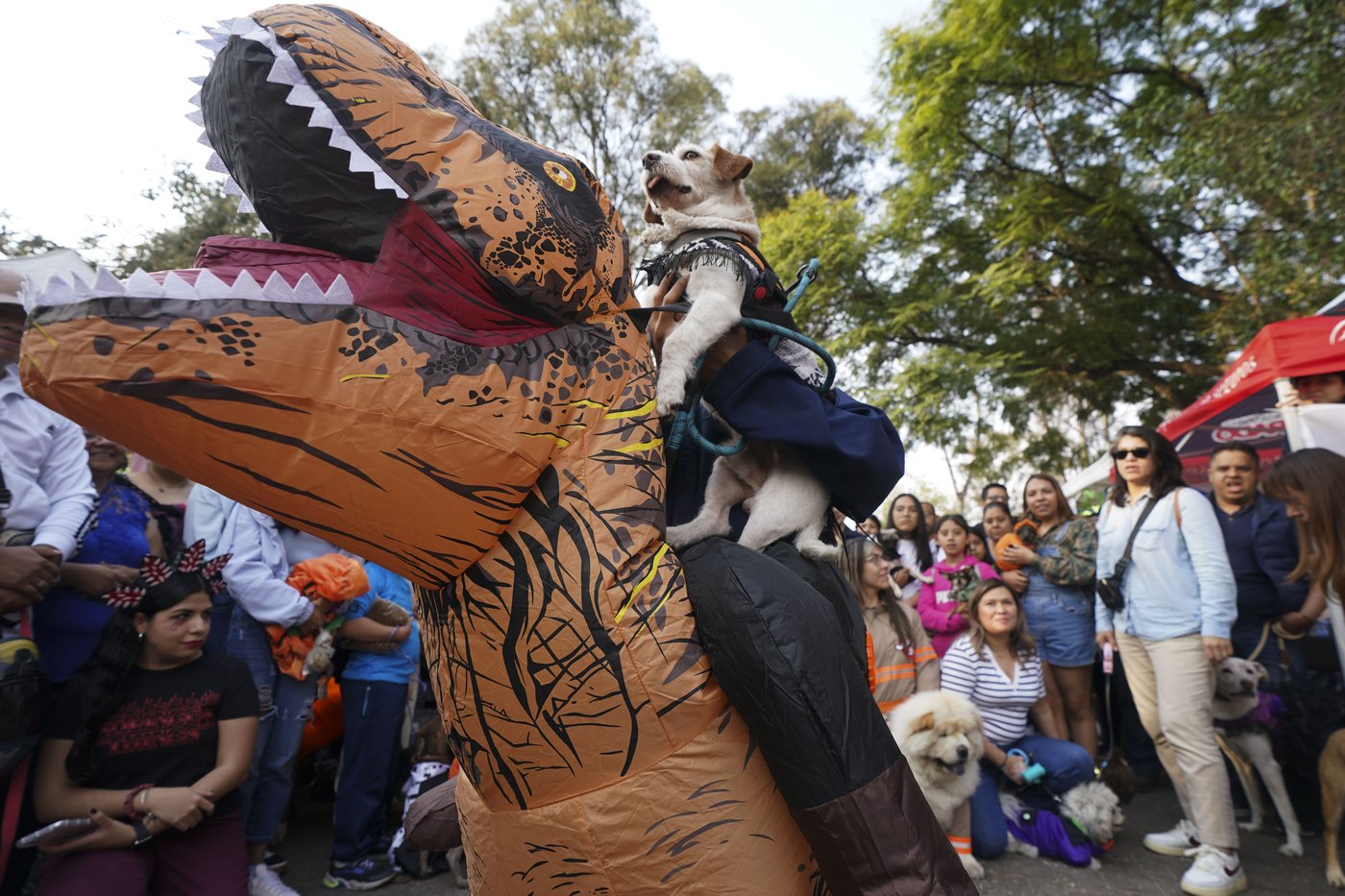 Pets join Mexico's Day of the Dead celebrations, as Fido and Tiger get their own altars | iNFOnews.ca Pets join Mexico's Day of the Dead celebrations, as Fido and Tiger get their own altars | iNFOnews.ca