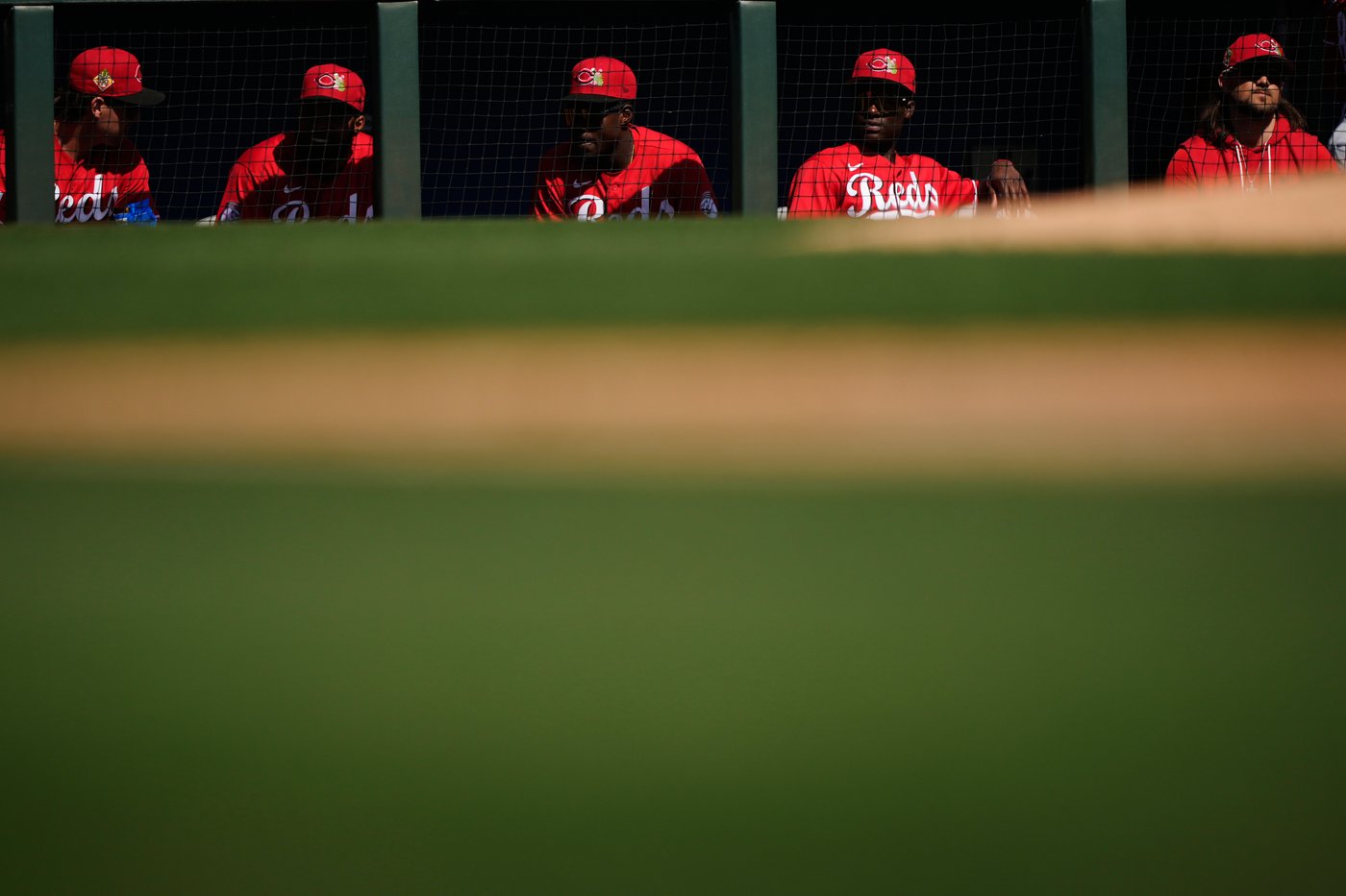 Photos from Major League Baseball spring training | iNFOnews.ca