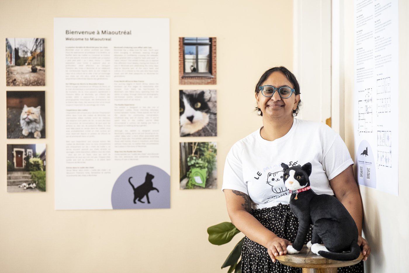 Montreal's Le Miaousée wants to become Canada's first permanent cat museum | iNFOnews.ca