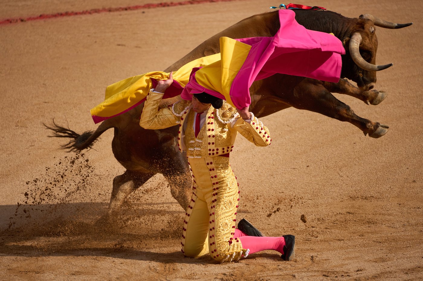 The top photos of the day by AP photojournalists | iNFOnews.ca