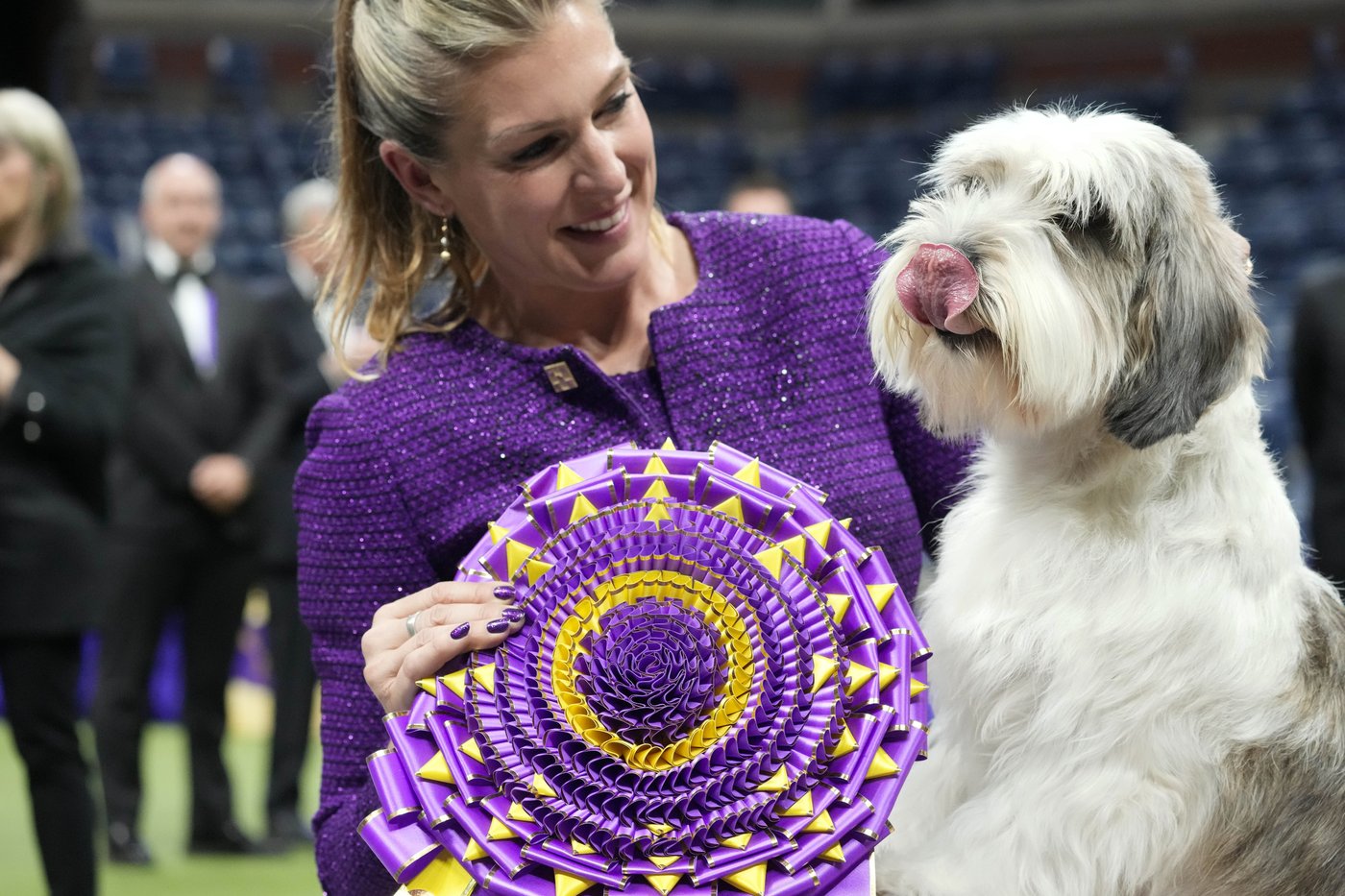 Dog Show 101: What's what at the Westminster Kennel Club | iNFOnews.ca