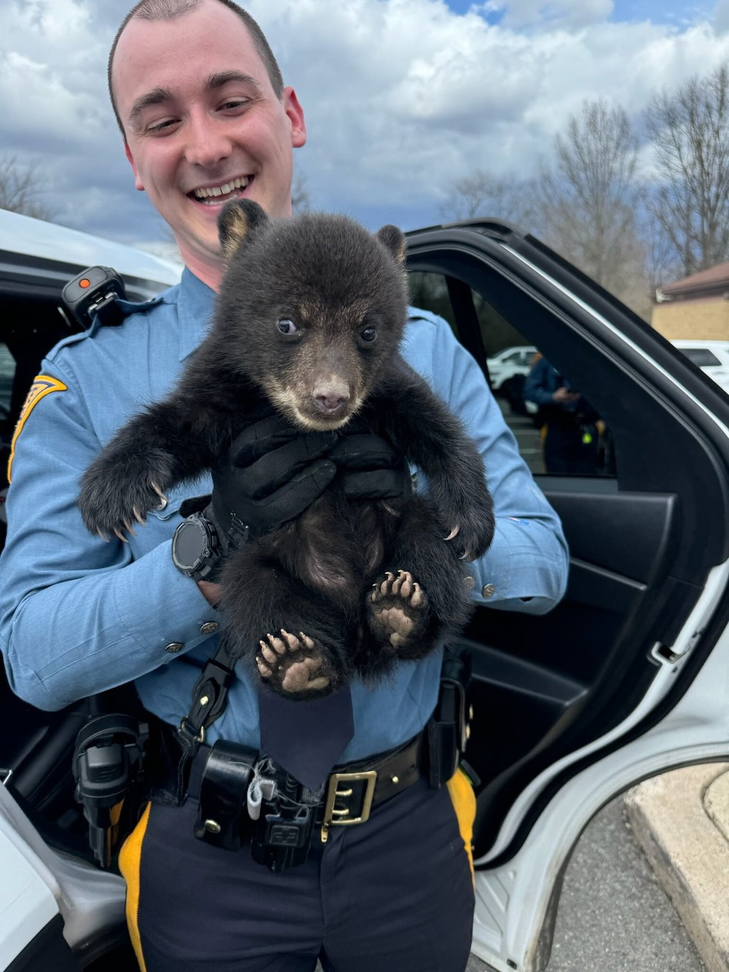 New Jersey state troopers rescue bear cub from highway ditch | iNFOnews.ca