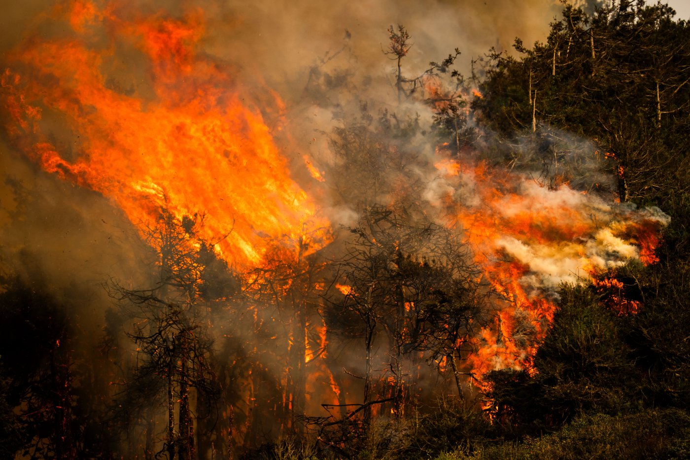 Wildfires burn along California's scenic Big Sur coast, in photos | iNFOnews.ca