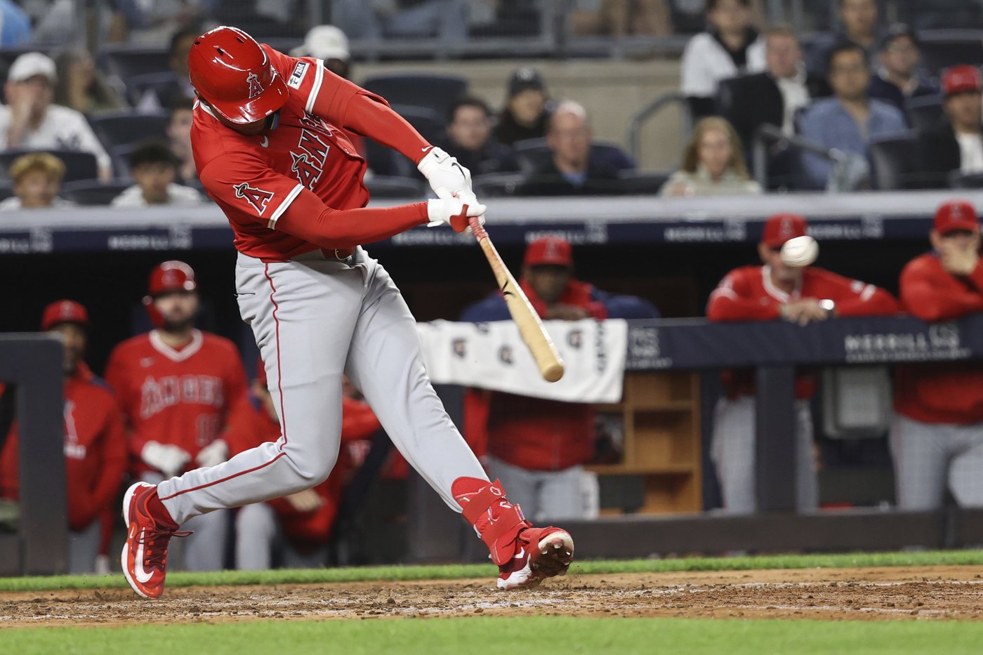 Angels rookie Christian Moore, a NYC native, gets 1st MLB hit in 1st visit to Yankee Stadium | iNFOnews.ca