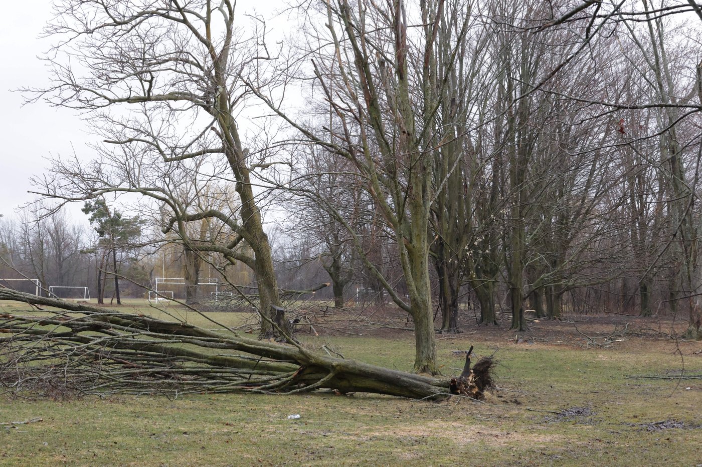 A look at Environment Canada's top 10 weather events for 2025 | iNFOnews.ca