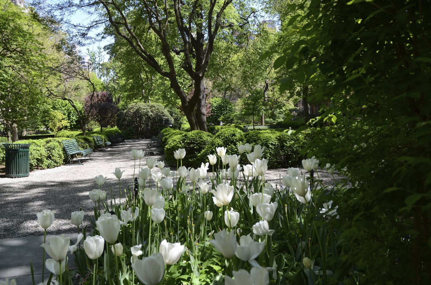 PHOTO COLLECTION: Spring Weather | iNFOnews.ca