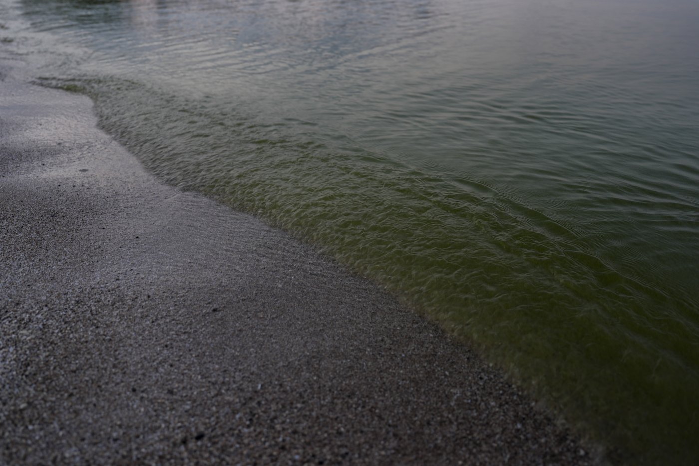 On Lake Erie, getting rid of problem algae starts with giving it less food | iNFOnews.ca