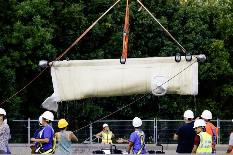 Seven more belugas on the move from Marineland to U.S. aquarium | iNFOnews.ca