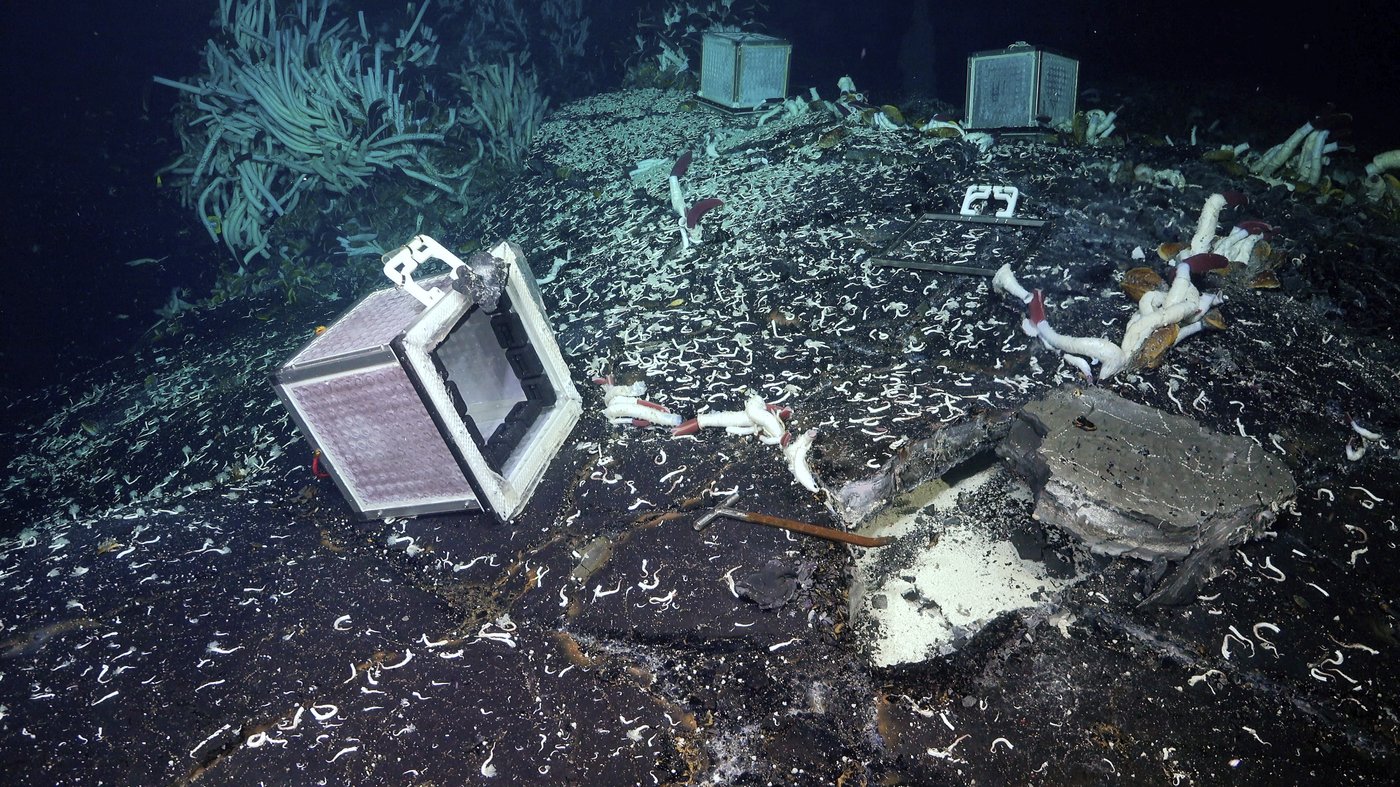 Tubeworms, snails and other weird creatures found under the seafloor | iNFOnews.ca
