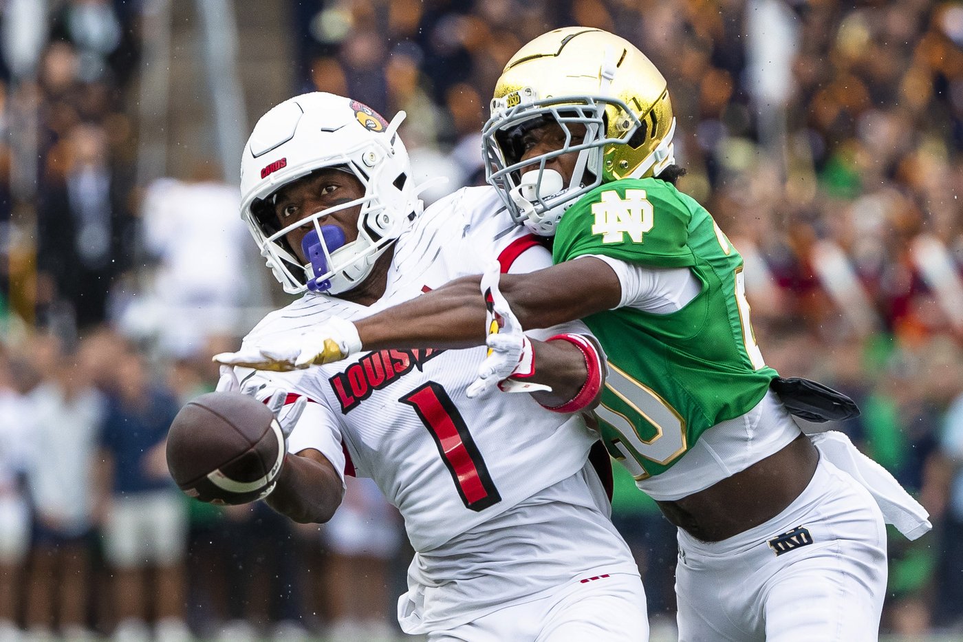 No. 16 Notre Dame holds off No. 15 Louisville comeback for 31-24 victory | iNFOnews.ca