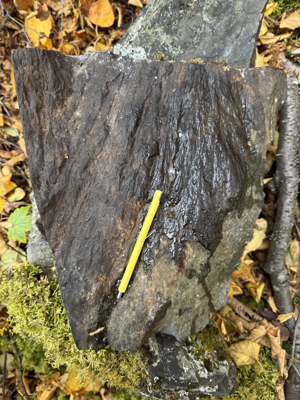 Pit found by Quebecer confirmed to be a 390-million-years-old meteorite impact crater | iNFOnews.ca