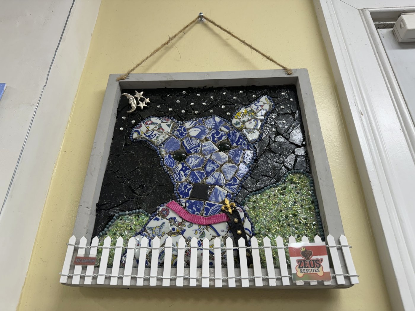 A fugitive gains fame in New Orleans eluding dart guns and nets | iNFOnews.ca