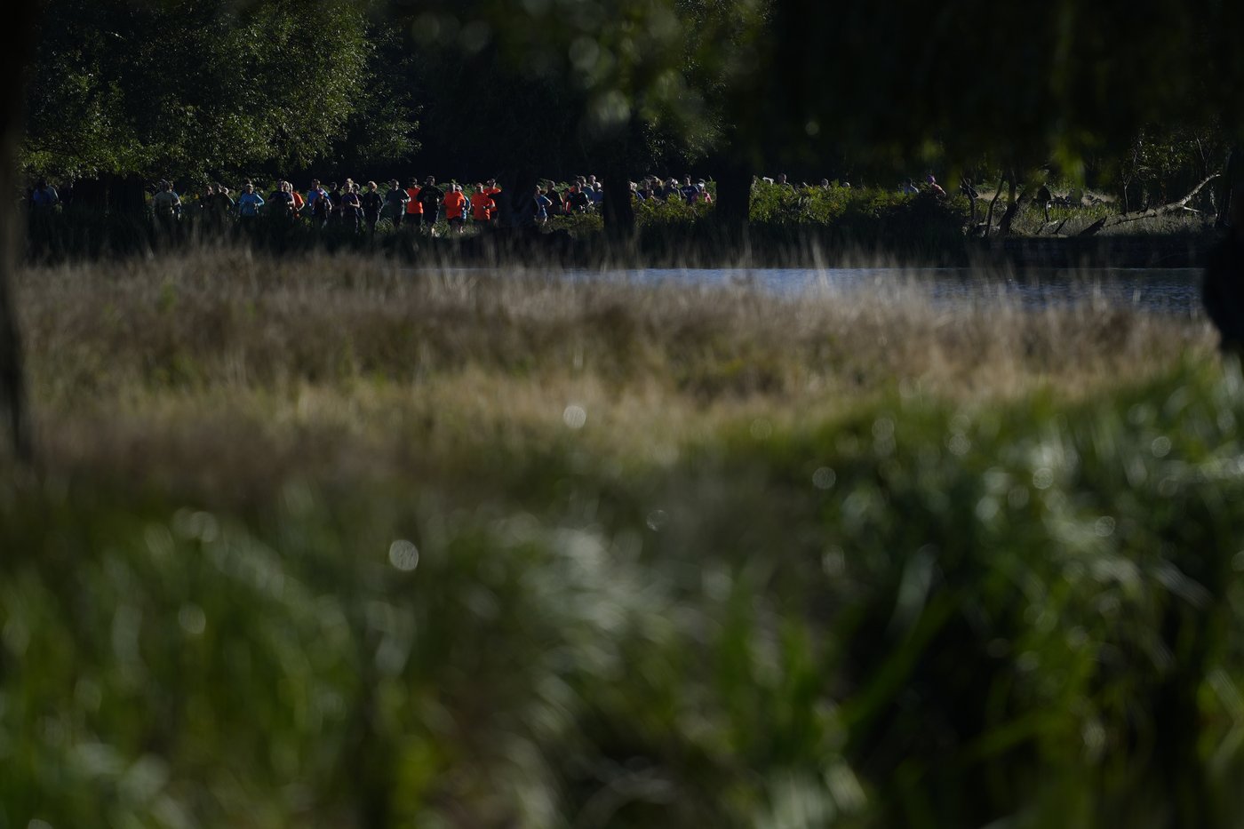 Parkrun celebrates 20th anniversary as weekly race grows from 13 runners to millions in 23 countries | iNFOnews.ca Parkrun celebrates 20th anniversary as weekly race grows from 13 runners to millions in 23 countries | iNFOnews.ca