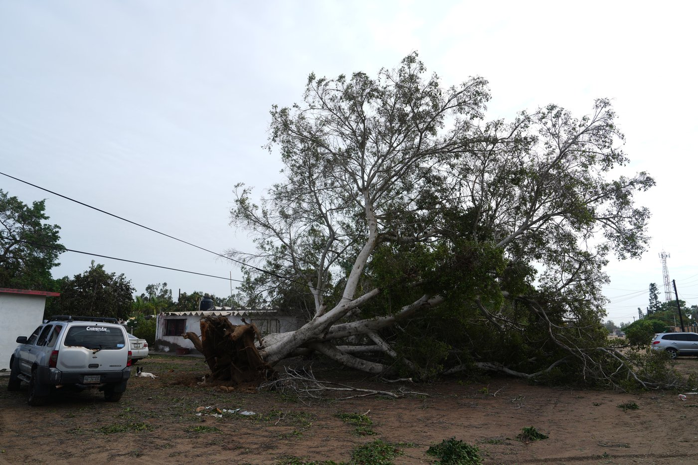 Hurricane Polo's remnants bringing more rains to flood-struck US Southwest | iNFOnews.ca Hurricane Polo's remnants bringing more rains to flood-struck US Southwest | iNFOnews.ca